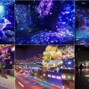 부산시청 이미지