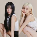 나영파크 이미지