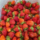 달을보는농부 이미지