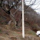 탁이네 이미지