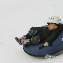 반얀트리클럽앤스파서울눈썰매장 연합뉴스