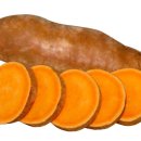 얌(YAM) 이미지