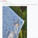 📸트왈드 매트 컴포트 : 고객 리얼 후기 모음집 | 감성 피크닉 매트📸