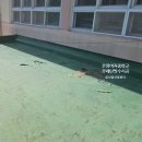 온여고길 이미지