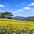 풍경목장 이미지