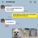 멍그니엘 이미지