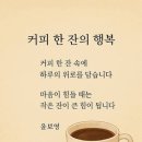 목요일 Daum카페