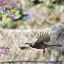 배화학교 이미지