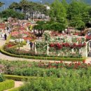 곡성-171 이미지