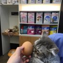 21세기동물병원 이미지