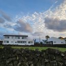 하이제인 이미지