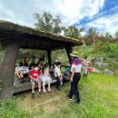 숲또래협동조합 이미지