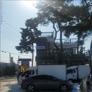 월랑쭈꾸미
