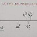 팔구스포츠 이미지