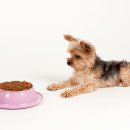 엘동물의료센터 이미지