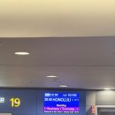 232 | 아시아나 인천-하와이 OZ232/OZ231 탑승 후기