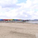 돌머리 체험마을 편의점 | 함평 가볼만한곳, 돌머리해변 | 솔숲과 백사장이 어우러진 힐링 명소