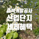 [충북 산단 분양] 충북개발공사 "기업 오면 보조금...지원" 역대급 혜택! 음성휴먼스마트밸리 산업단지 외