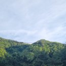 공지숲매점 이미지