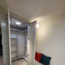 마스코타 펫 이미지