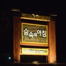 숲속의평창 이미지