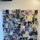 필스타 | 강남 애견미용추천 필스타 말티푸 테디베어컷 소형견 스포팅 미용후기