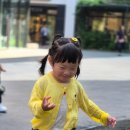 유하 카카오 검색결과