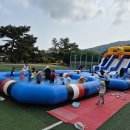 보길초등학교 이미지