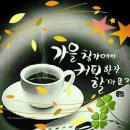 이천약초건강원