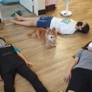 니드요가