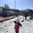 천하태권도(시흥) 이미지