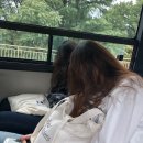 낮말은 새가 듣고 밥말은 라면 먹고싶다..
