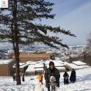 대관령동물병원 이미지