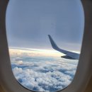 712 | 대한항공 도쿄 비행 후기 KW712 KW713 기내식 정보 인천공항