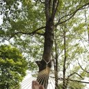 대촌마을(덕우리) 이미지