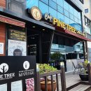 소나무파인트리(PINE TREE) 이미지