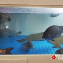 어도기업 이미지