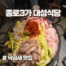 대성여자정보과학고등학교 | 세운상가 맛집 종로 대성식당 낙곱새 내돈내산