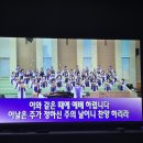 [🐻‍❄️-37주]출산전 브라질리언, 하루하루 만찬으로 먹기, PP젖병열탕소독, 태동검사