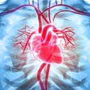 아이사랑동물약국 이미지