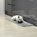[멍소주, 옛날오리통닭] 강아지 간식 음료 간단 후기
