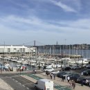 리치펄슨 이미지