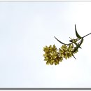 선기로2-3 이미지