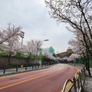 [등산] 분당 영장산 오르기(이매역~영장산 정상~율동공원) + 4월의 율동공원