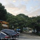 형권이네 흑염소농장 | 수양농장가든 흑염소 방문후기- 믿고 먹는 국내산 흑염소보양