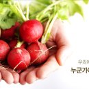 천사푸드뱅크 이미지