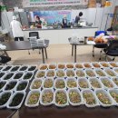 행궁마을관리사회적협동조합 이미지