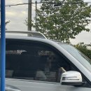 포시즌주유소 이미지