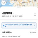 네일하꾸다 이미지