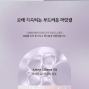 더:감동살롱